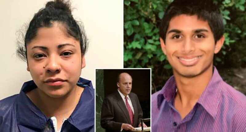 Ex-US diplomat John Negroponteâs daughter Sophia sentenced in friendâs drunken murder